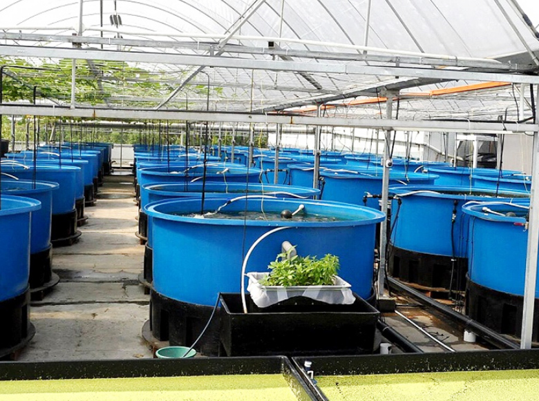 益樂(lè)塑業(yè)水產(chǎn)養(yǎng)殖方箱